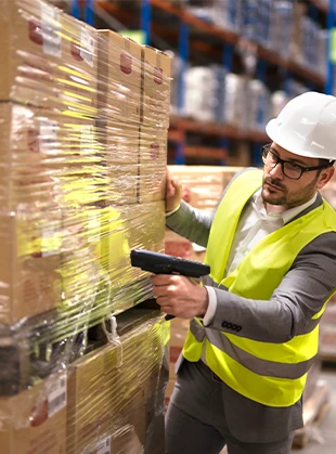 Conheça a Rota 262 Trading