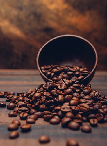 Café Arábica em Grãos